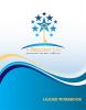 Brilliant Workbook - Leader's Guide Brilliant Workbook - Leader's Guide
